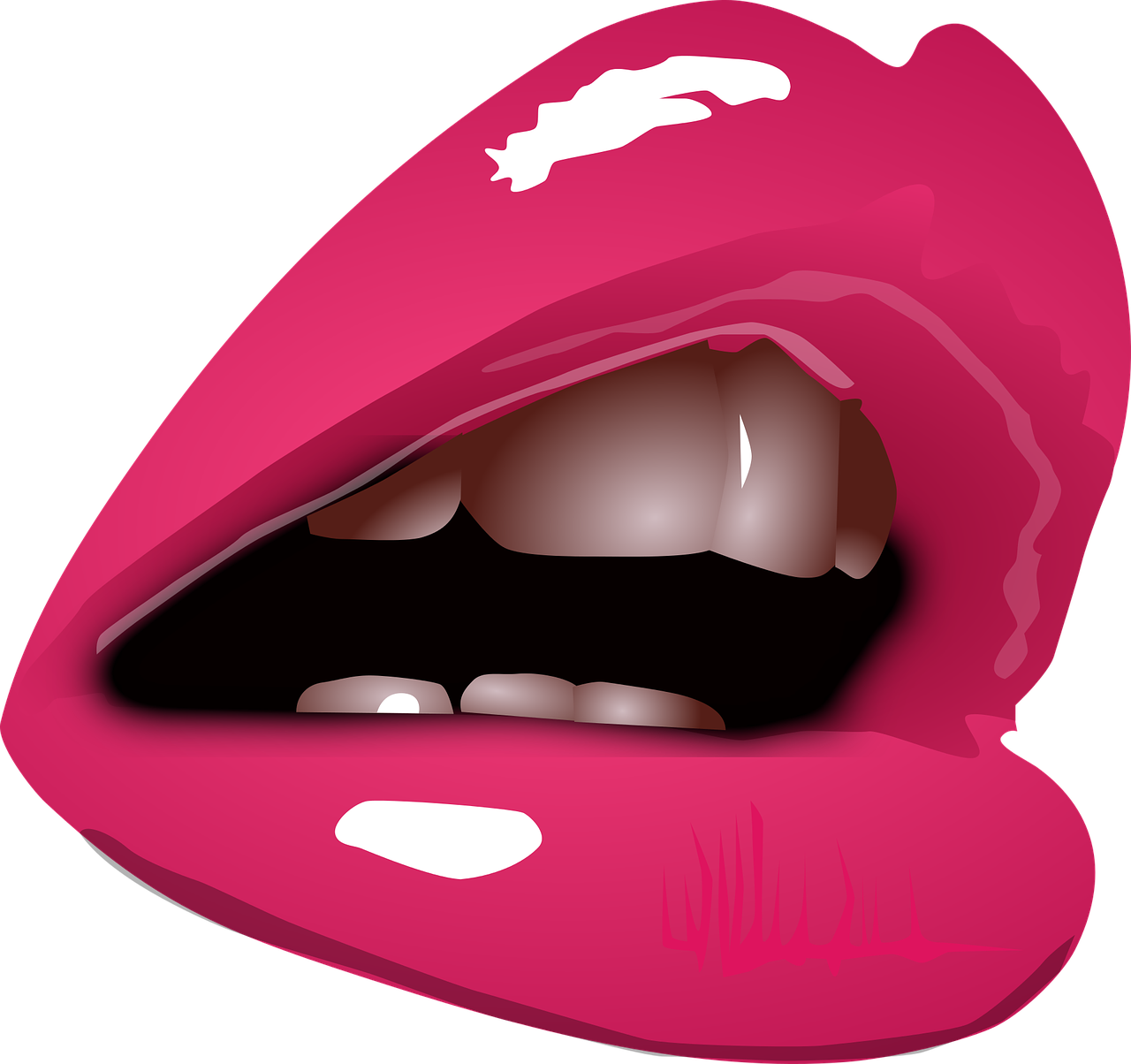 lips  lipstick  woman free photo