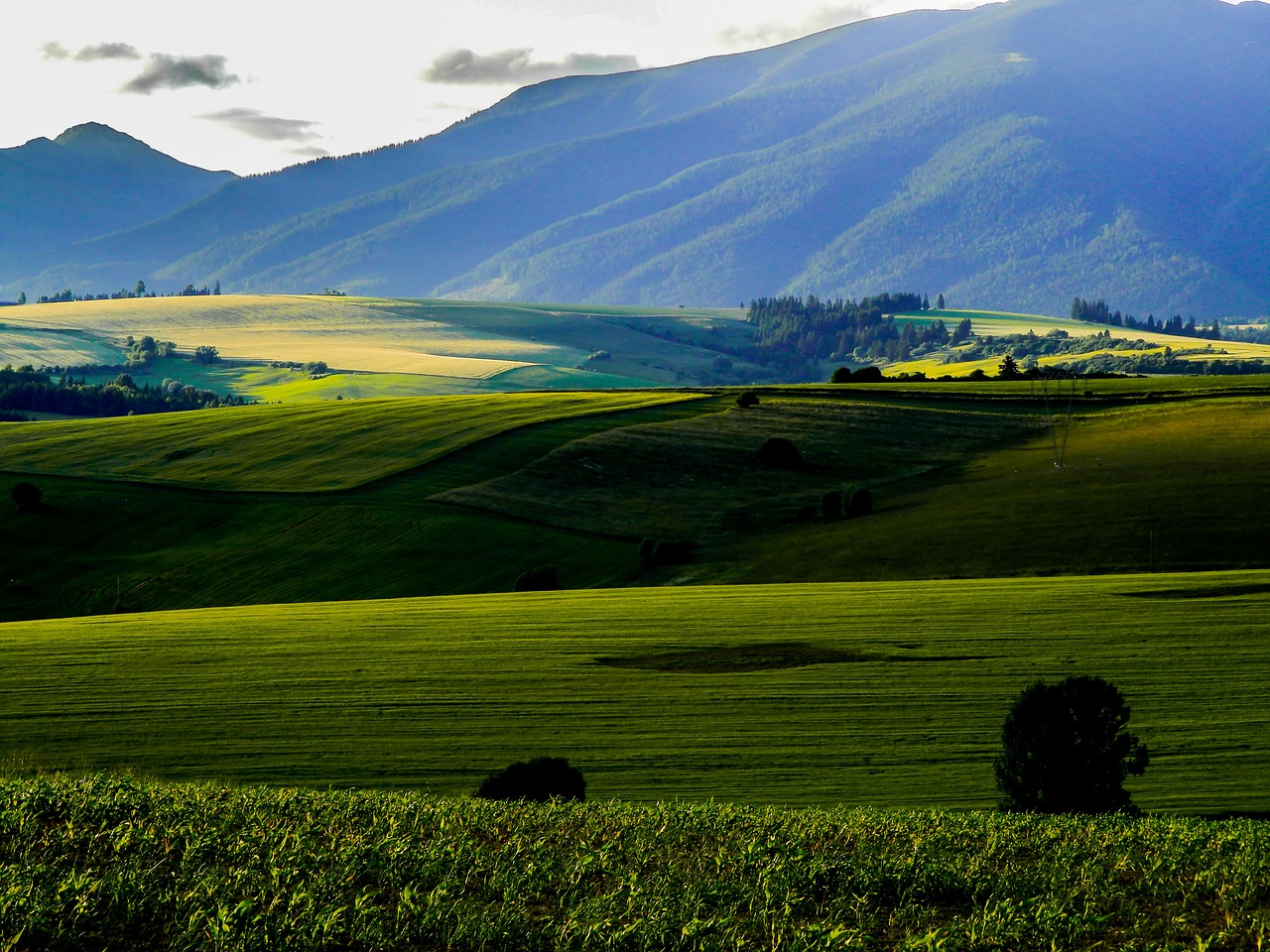 liptov field mountain free photo