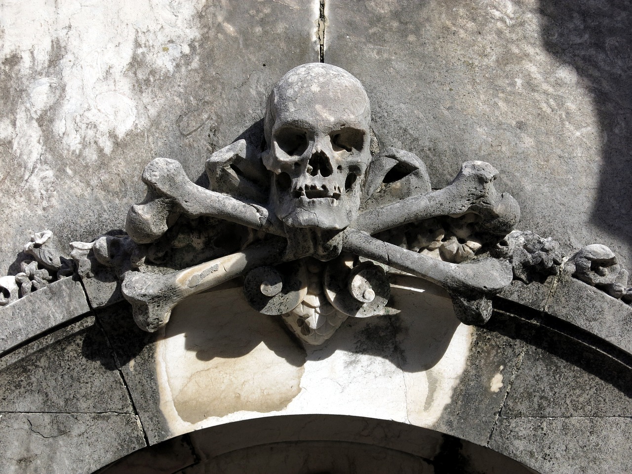 skull cemetery lisbon free photo