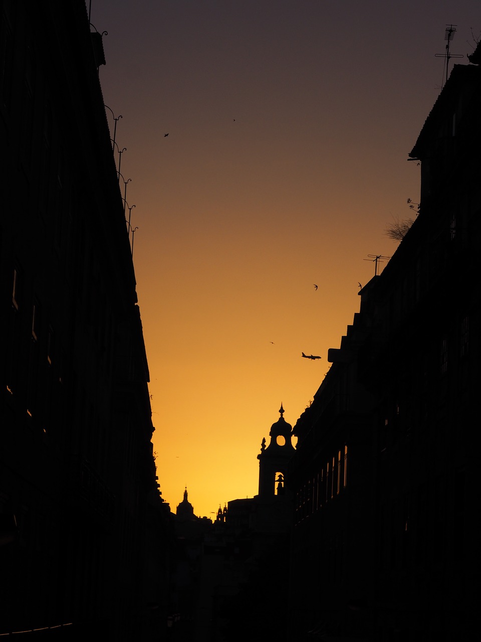 lisbon sunset night free photo