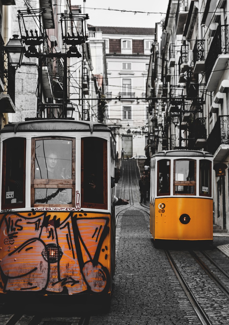 lisbon  trams  tram free photo