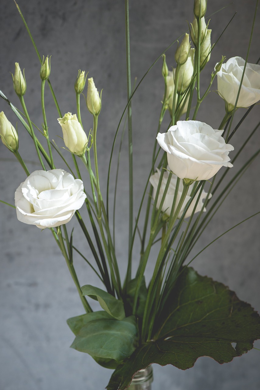 lisianthus flower blossom free photo