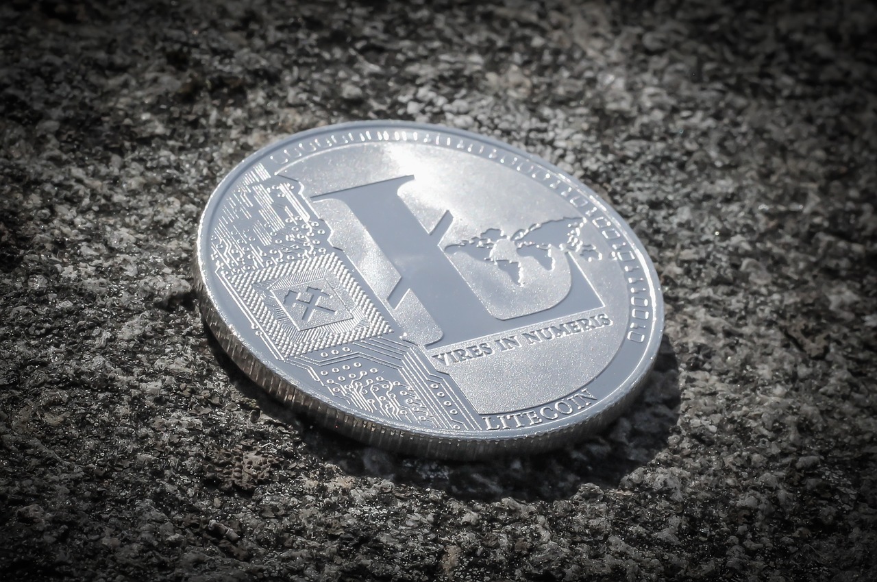 litecoin  currency  cryptocurrency free photo