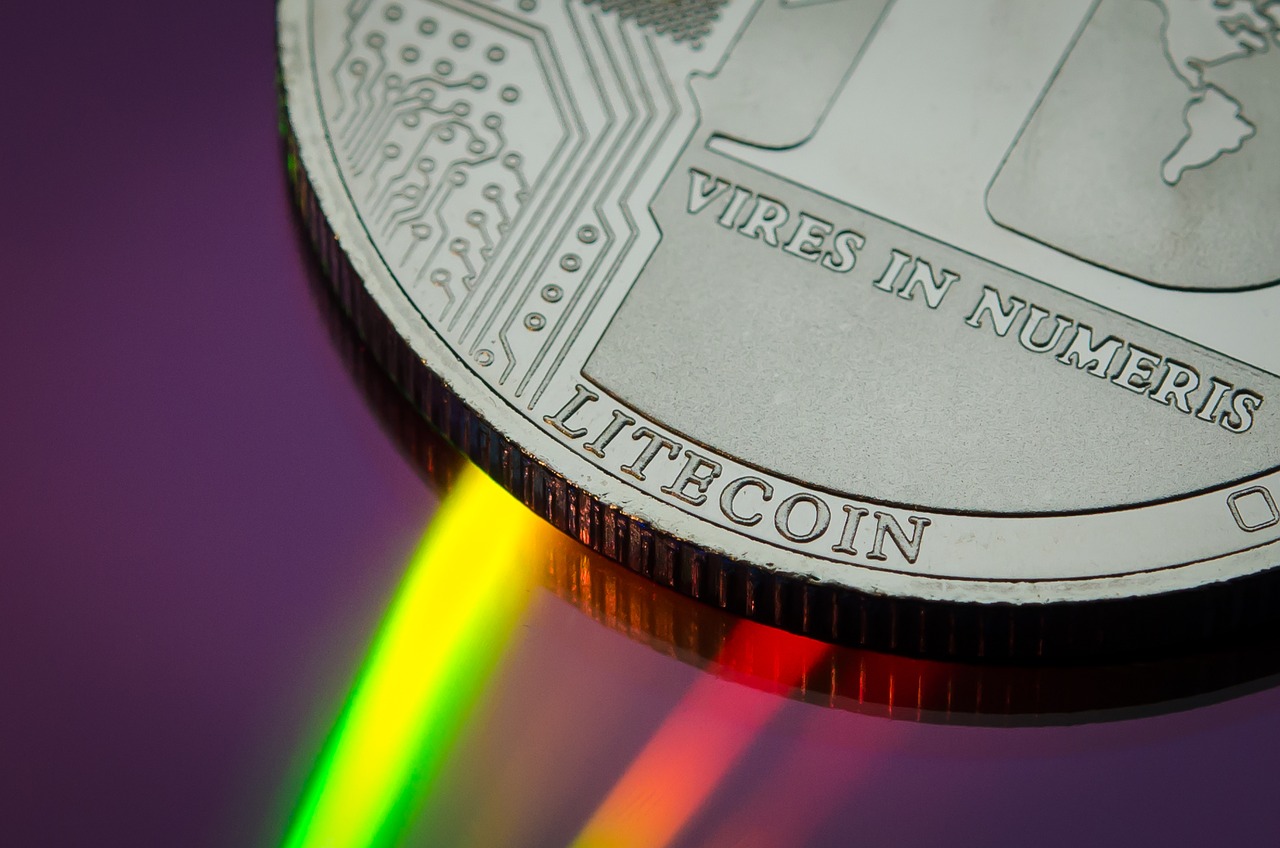 litecoin  cryptocurrency  currency free photo