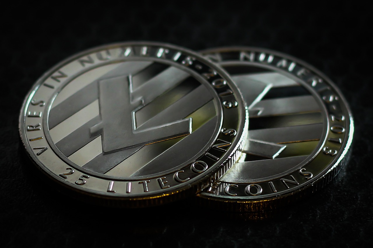 litecoin  business  finance free photo