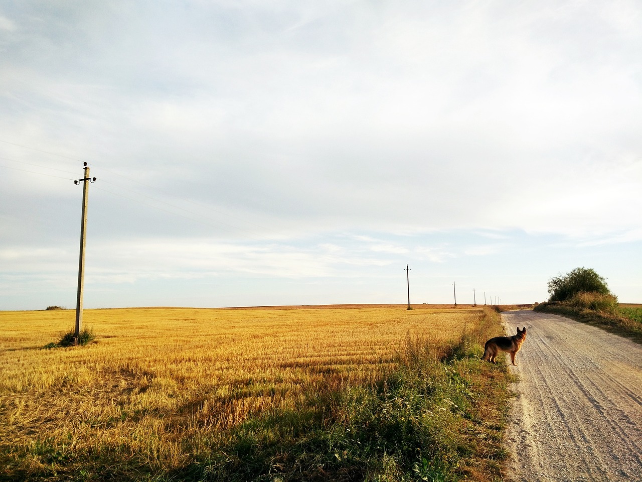 lithuania country village free photo