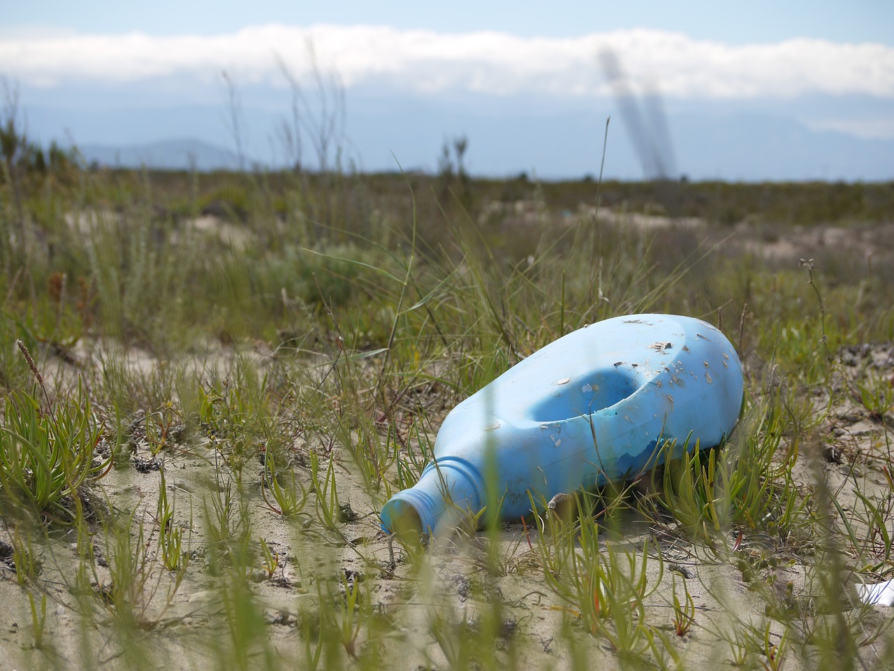 litter bottle rubbish free photo