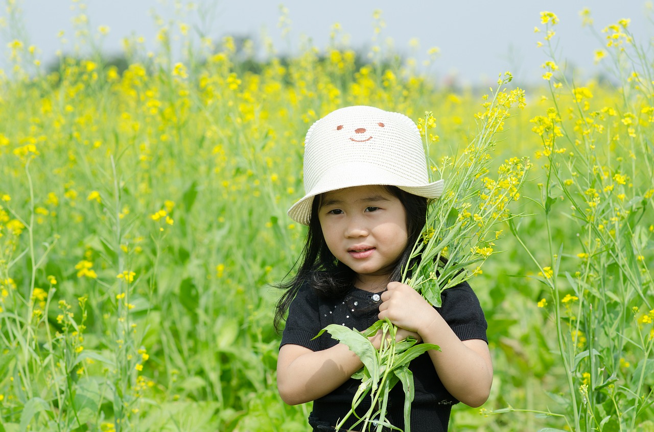 little flower reform field free photo