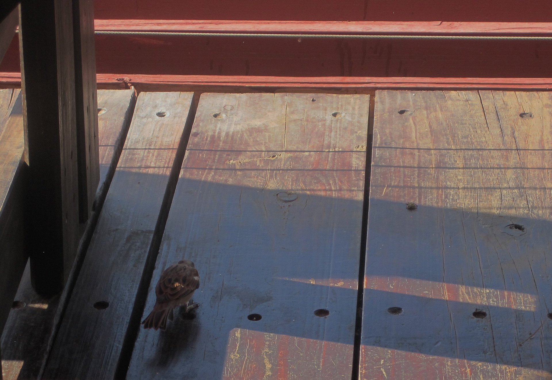 floor wood verandah free photo