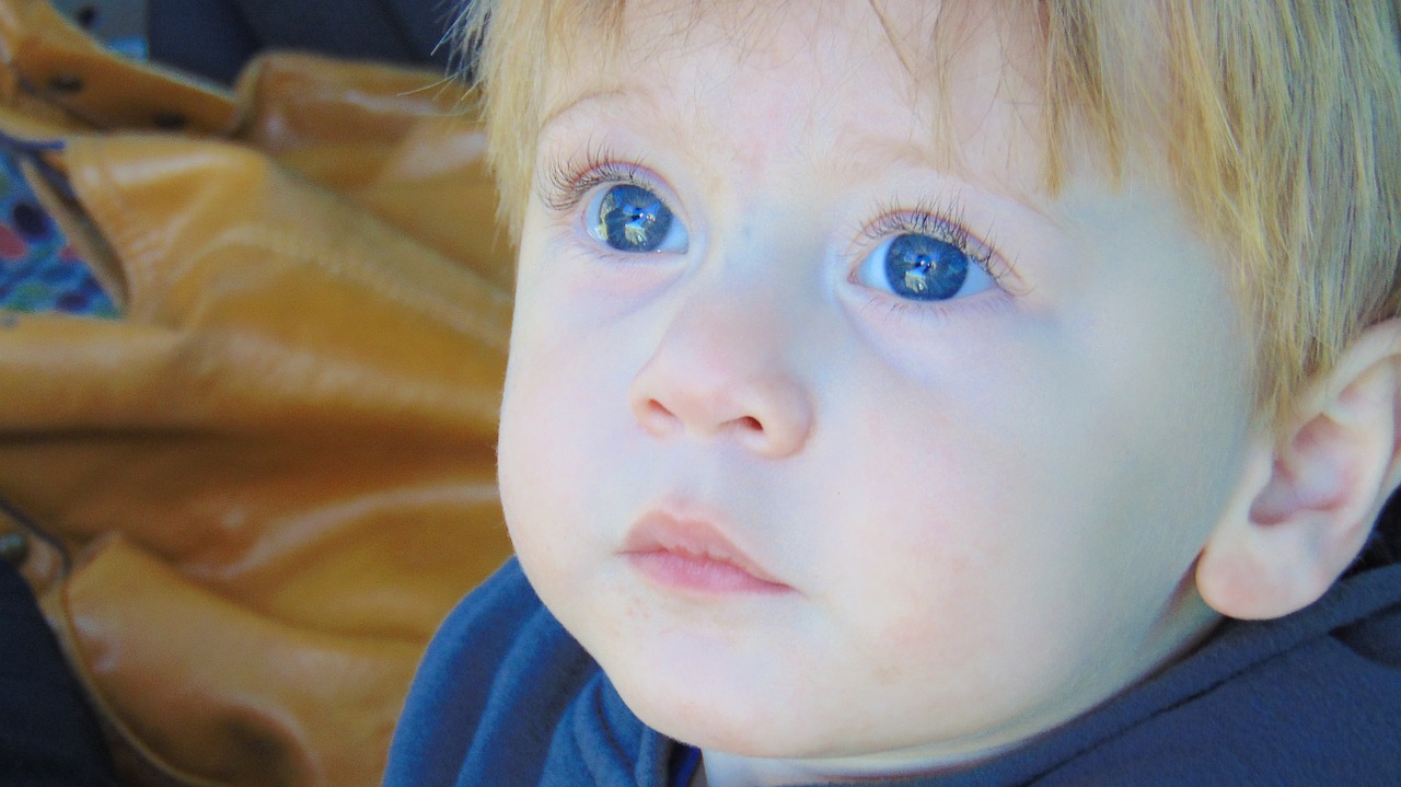 little boy toddler blue eyes free photo