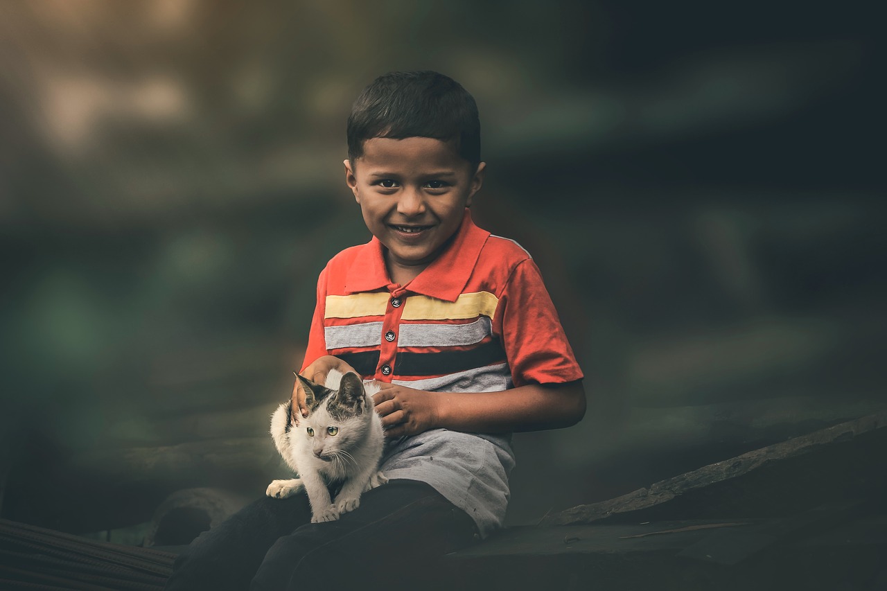 little boy with cat  cat  animal free photo