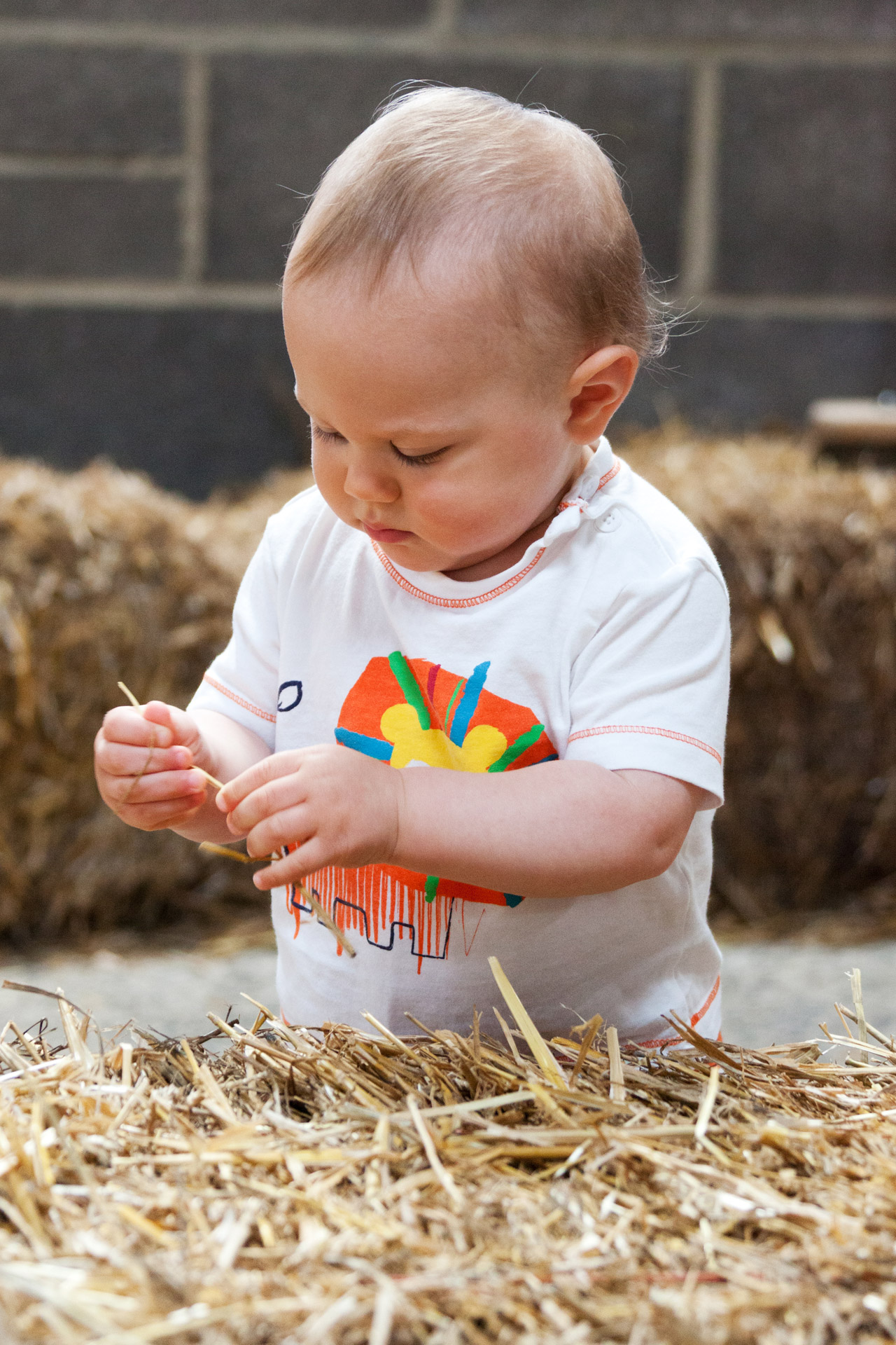 agriculture baby boy free photo