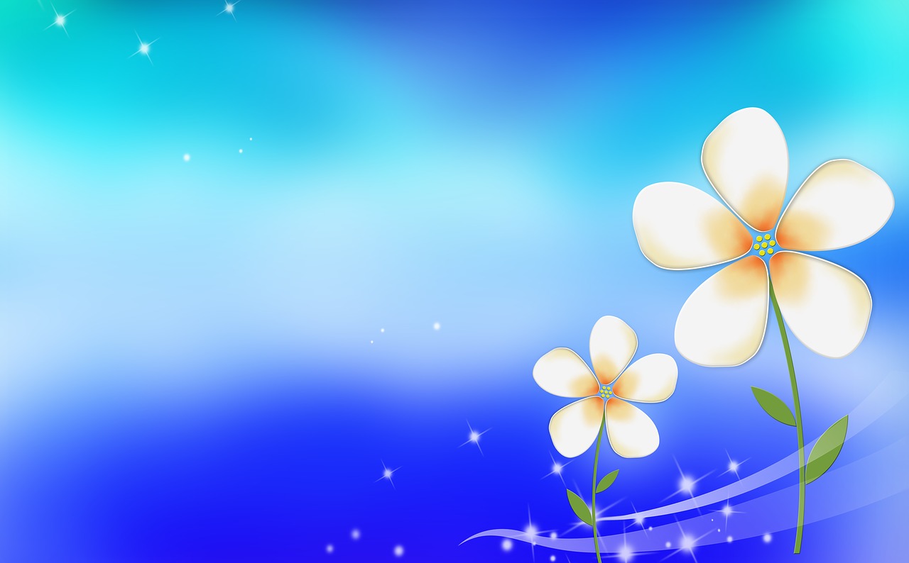 little flower blue background free photo