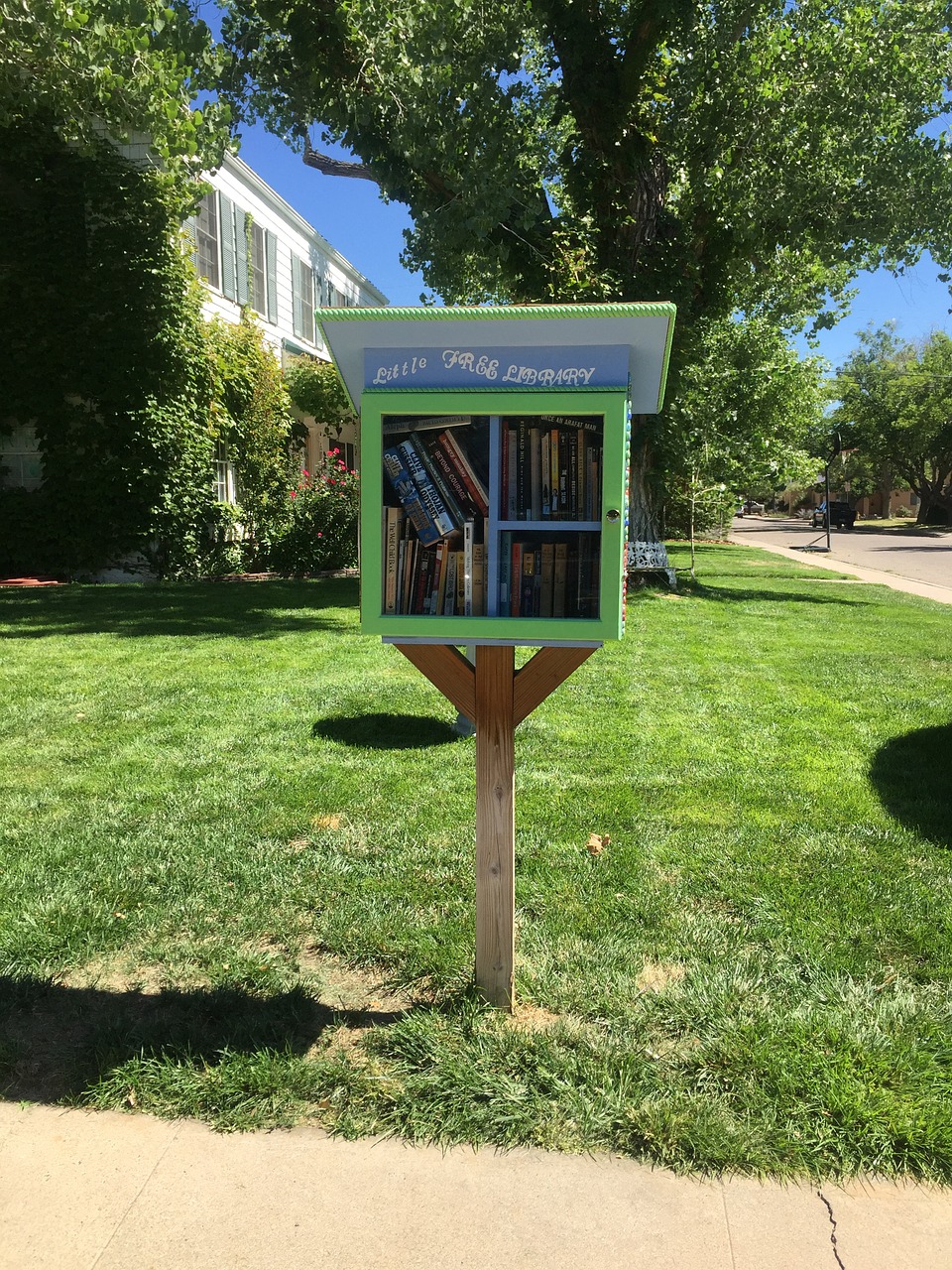 little free library rotary books free photo