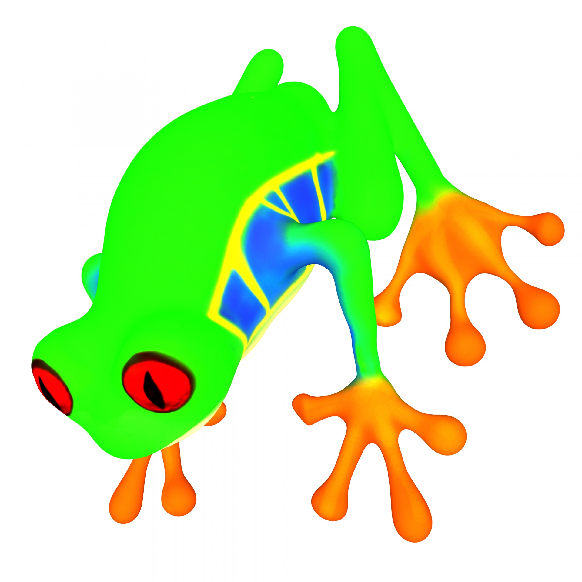 drawing little frog free photo