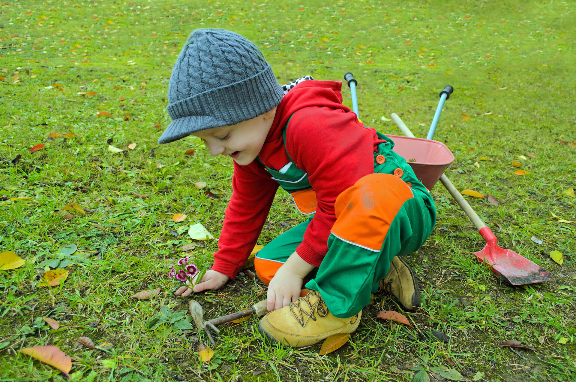 small gardener garden free photo