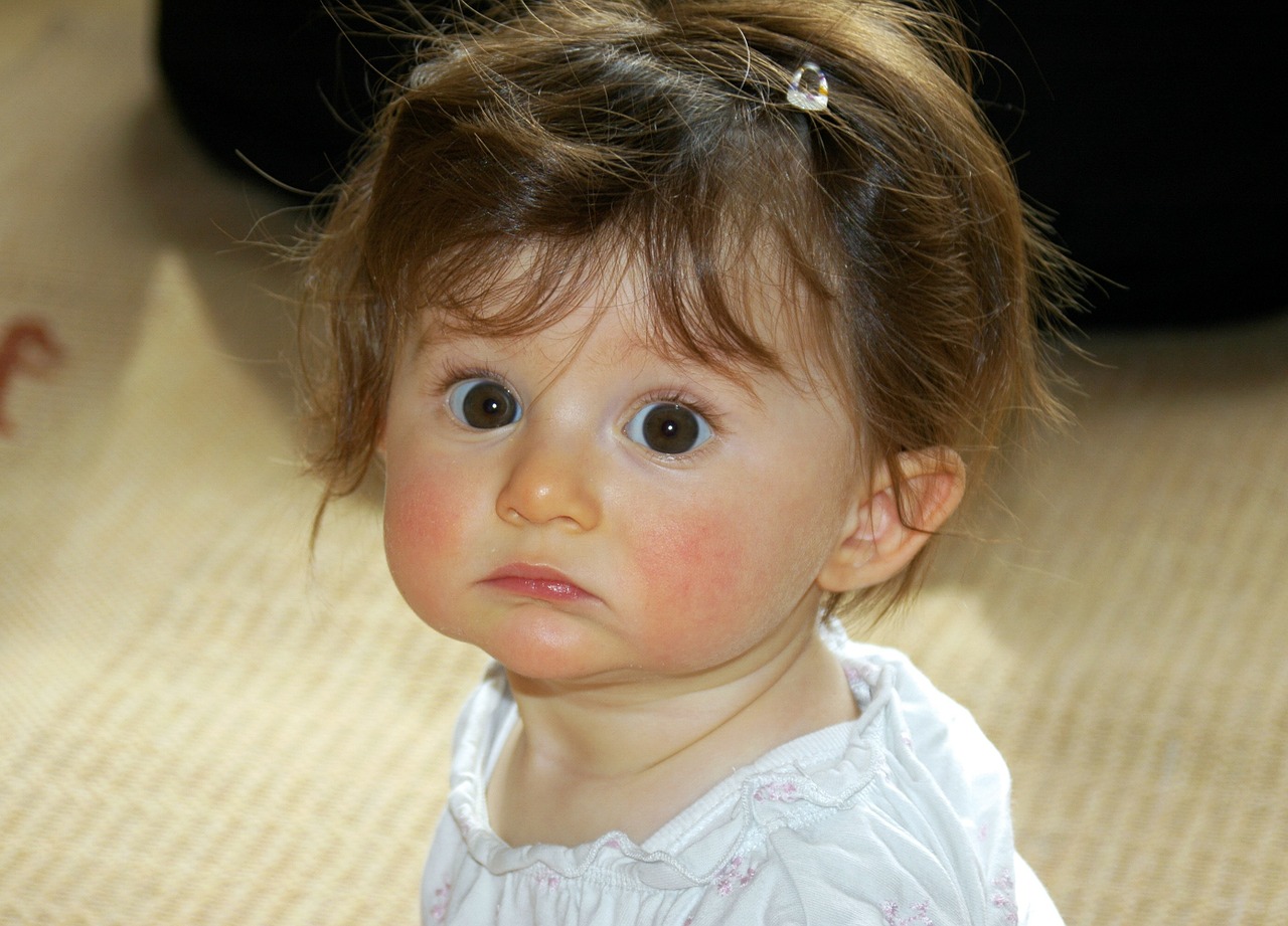 little girl portrait face free photo