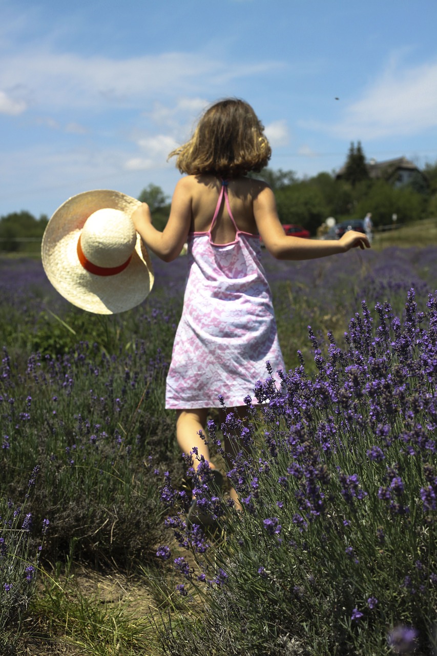 little girl lavender field free photo