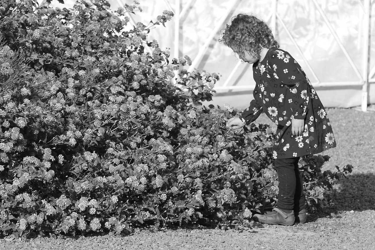 little girl flowers child free photo