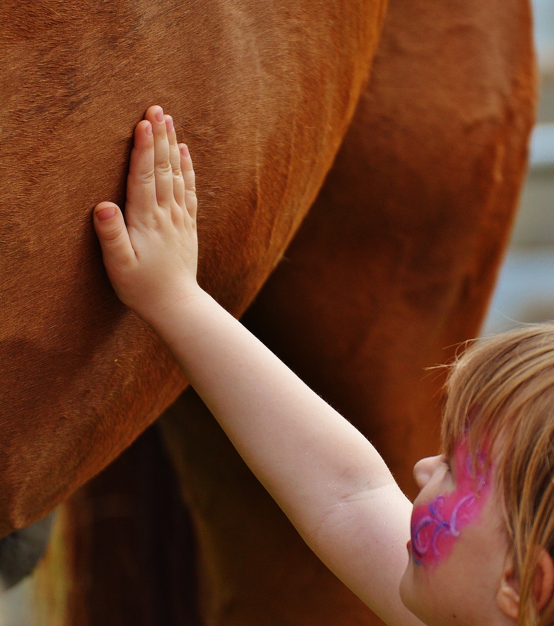 little girl big horse stroke free photo