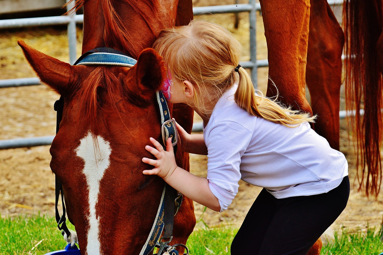 little girl big horse kiss free photo