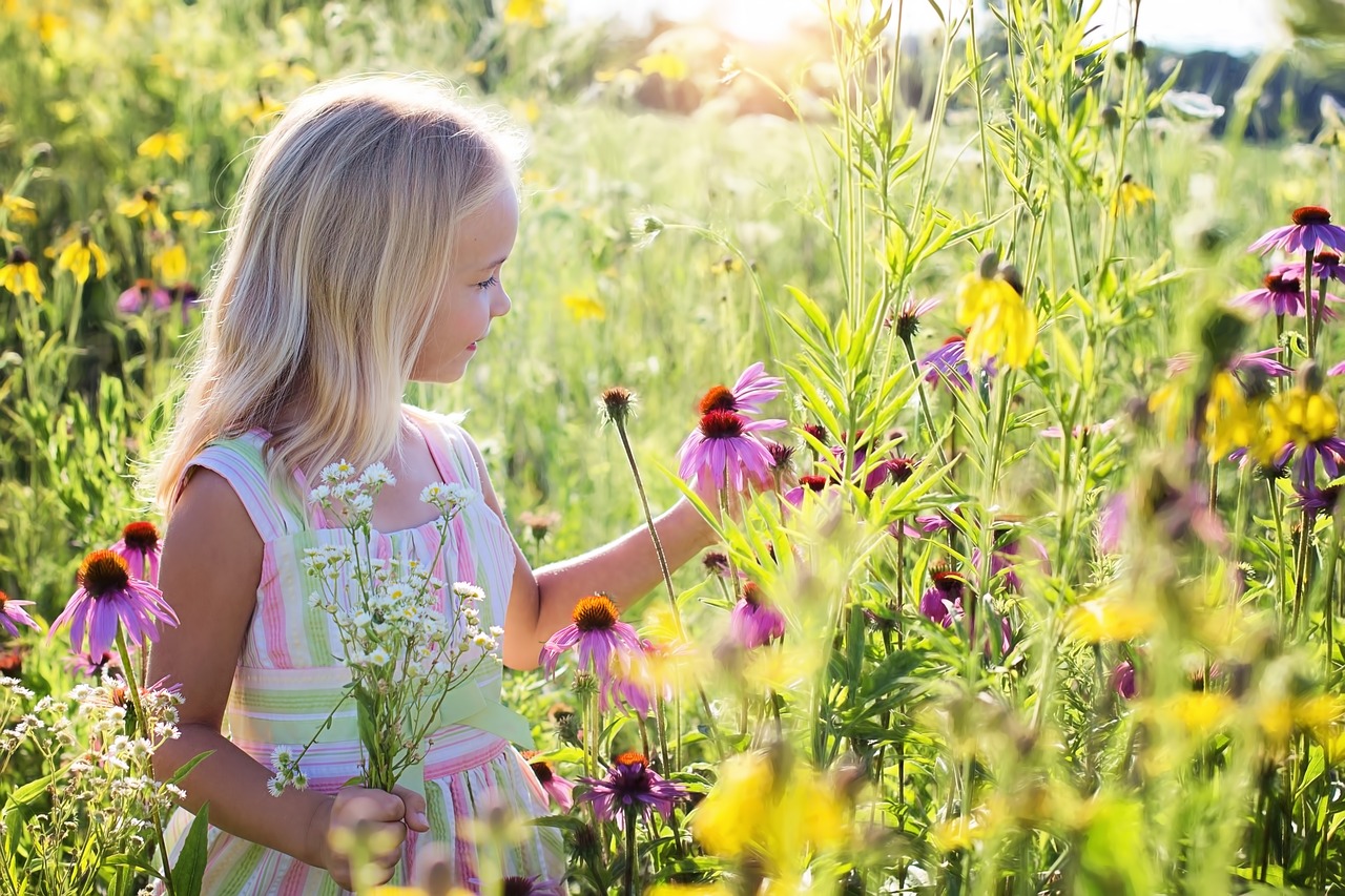 little girl wildflowers meadow free photo