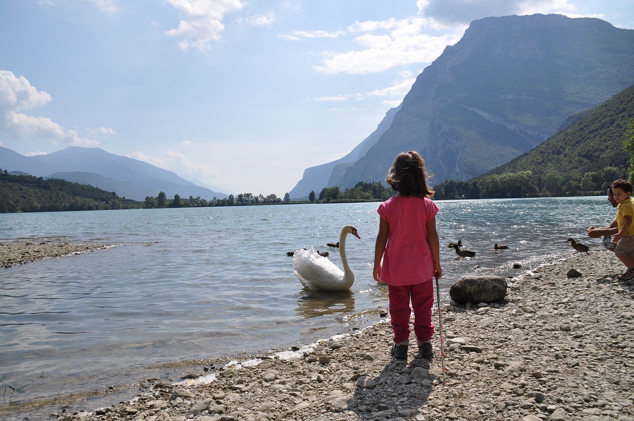 little girl swan nature free photo