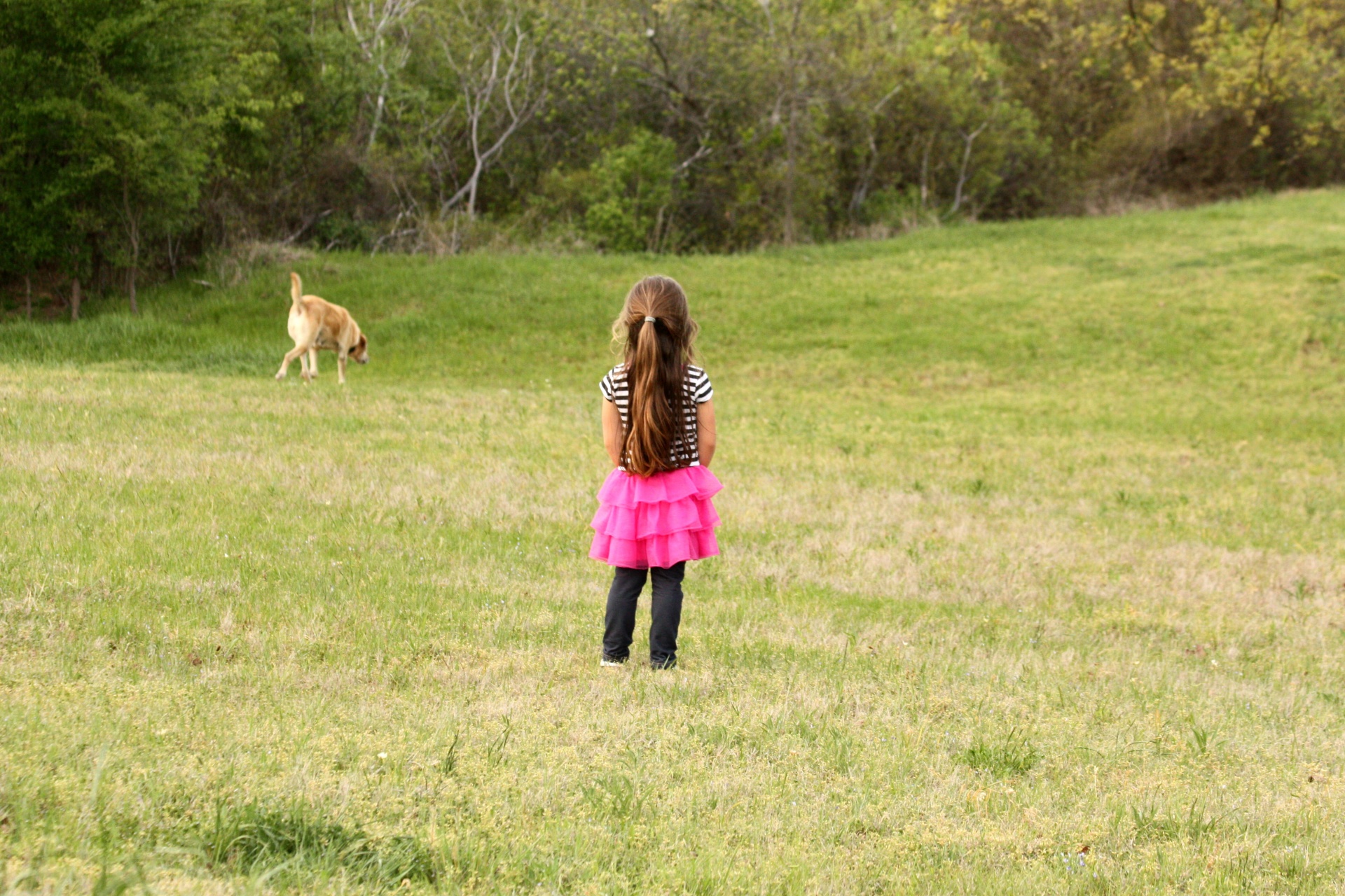 people girl little girl free photo