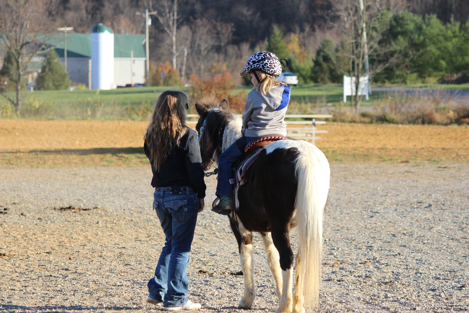 horse riders child free photo