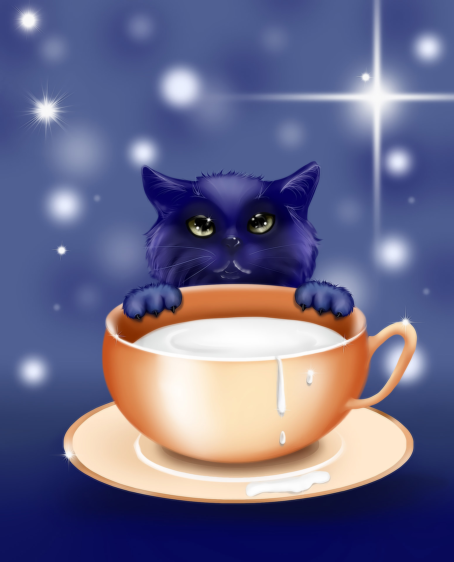 kitten illustrations story free photo
