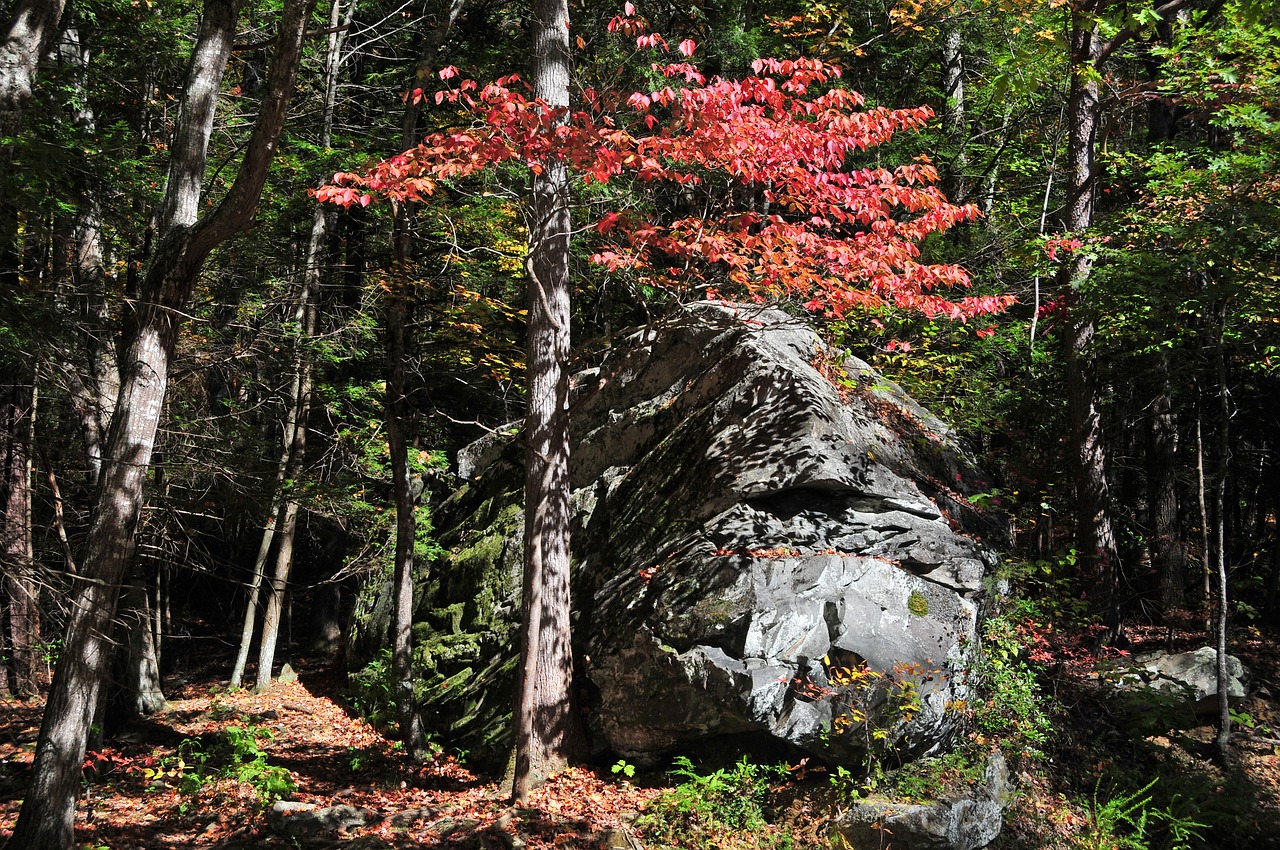 little river smoky mountains rock free photo