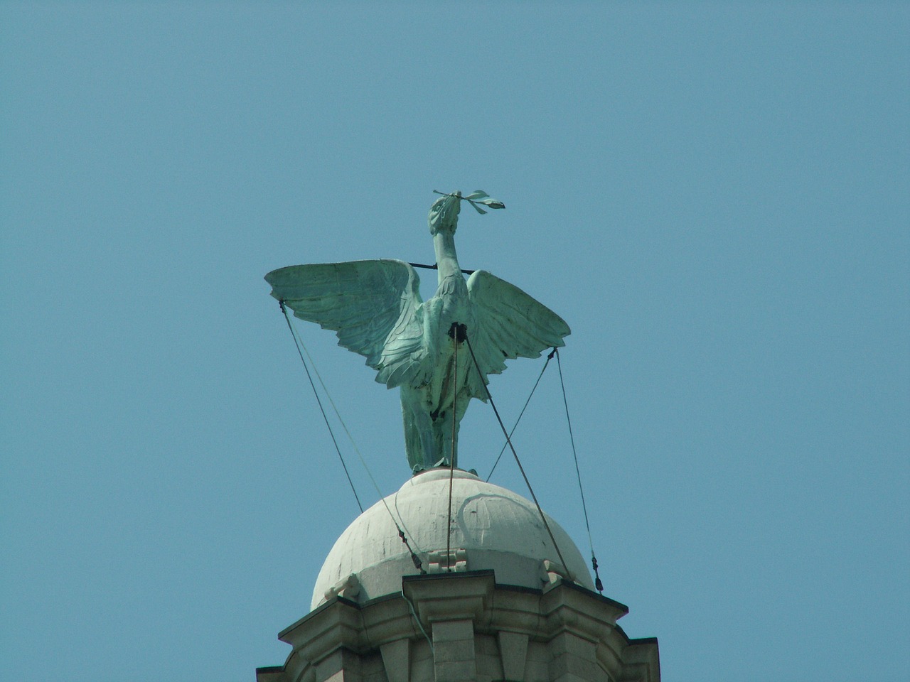 liverbird liverpool landmark free photo