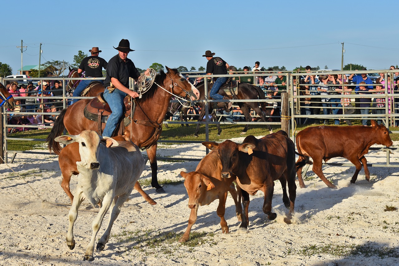 livestock horse mammal free photo