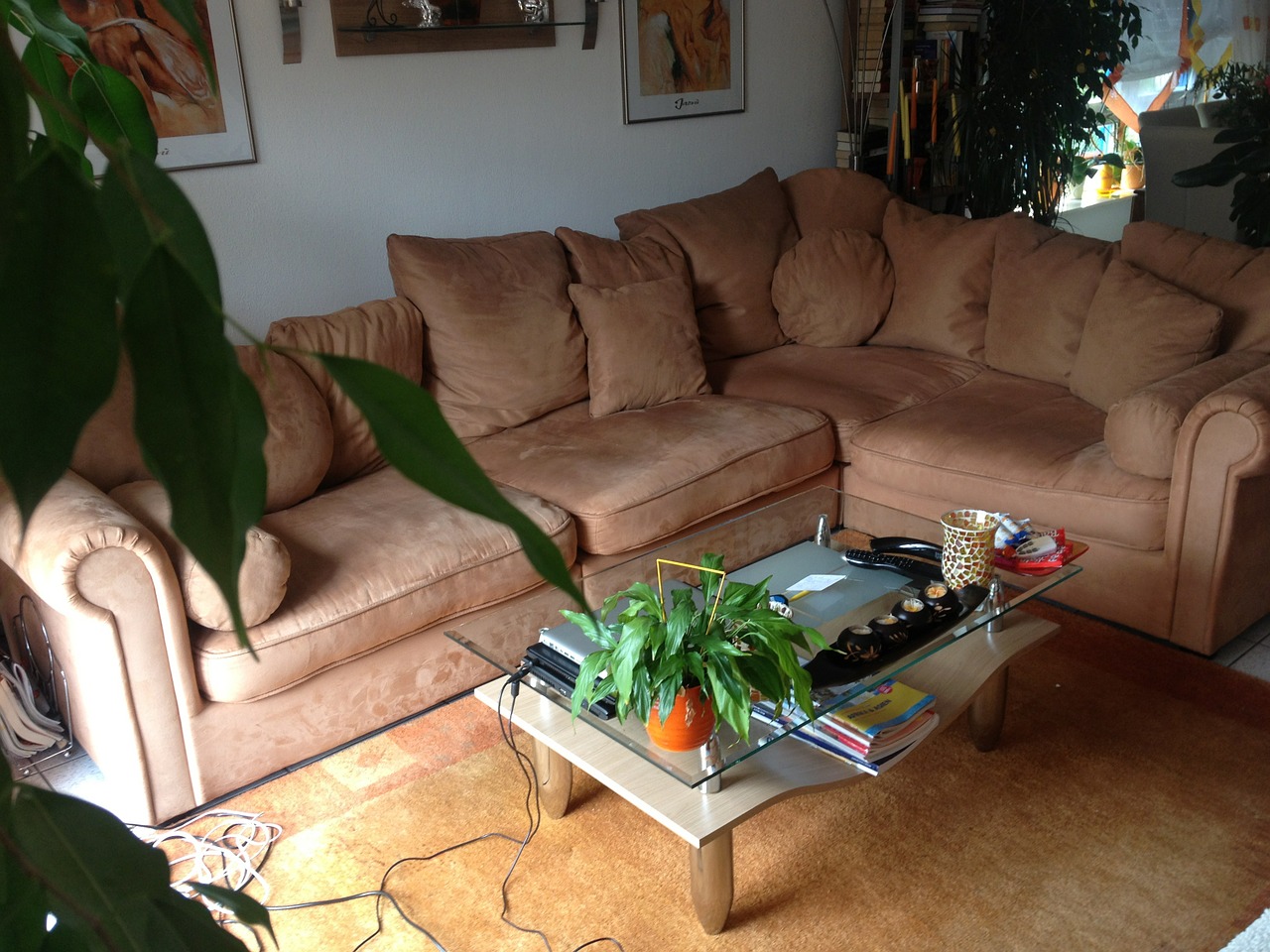 living room sofa at home free photo
