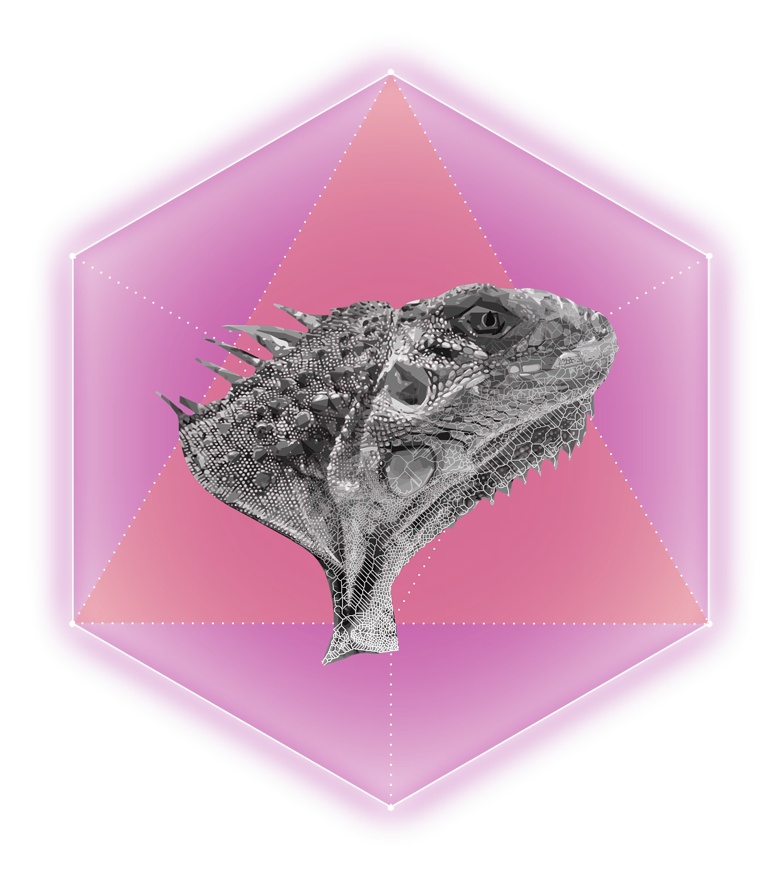 lizard hexagon rosa free photo