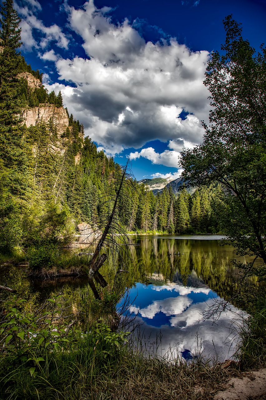 lizard lake colorado reflections free photo