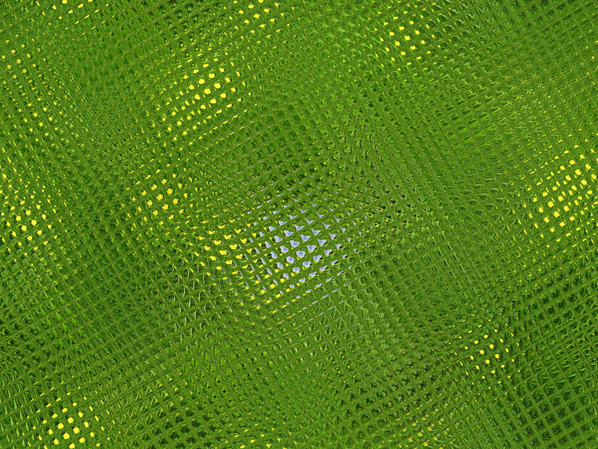 Download free photo of Lizard,skin,reptile,green,abstract from