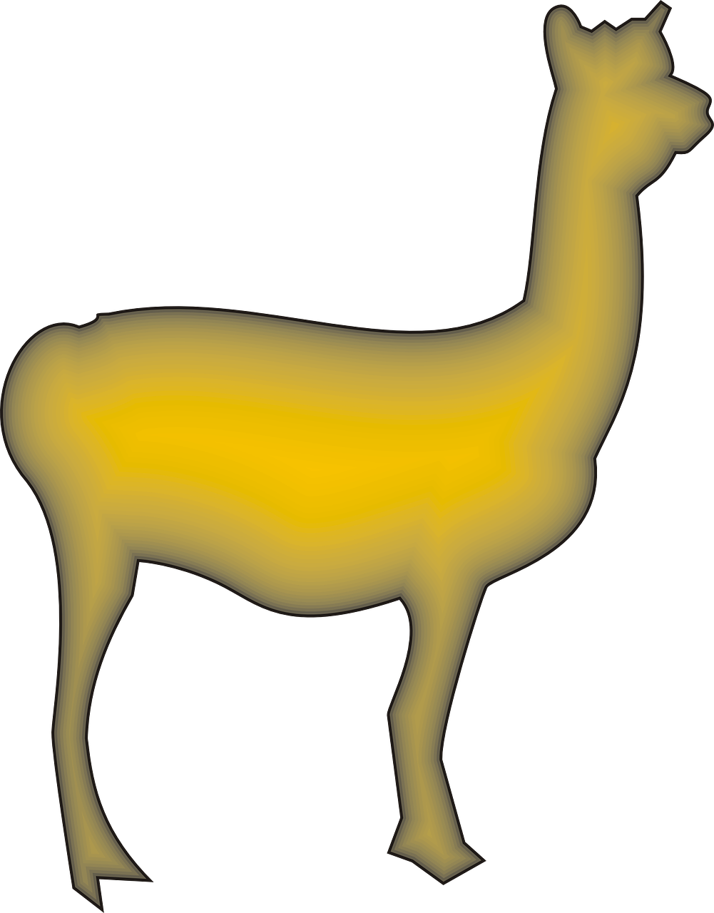 llama animal camelid free photo