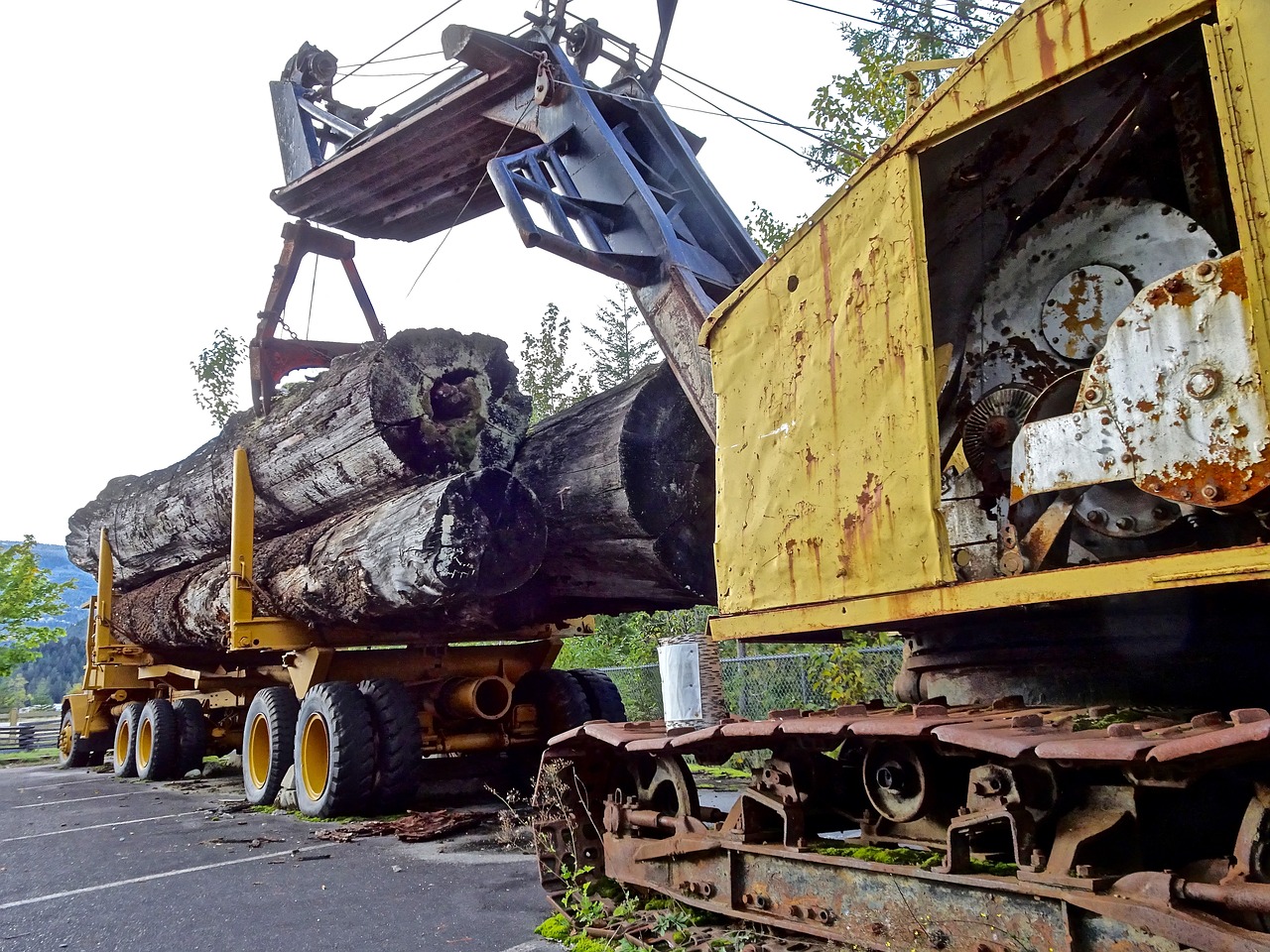 loading lumber timber truck free photo