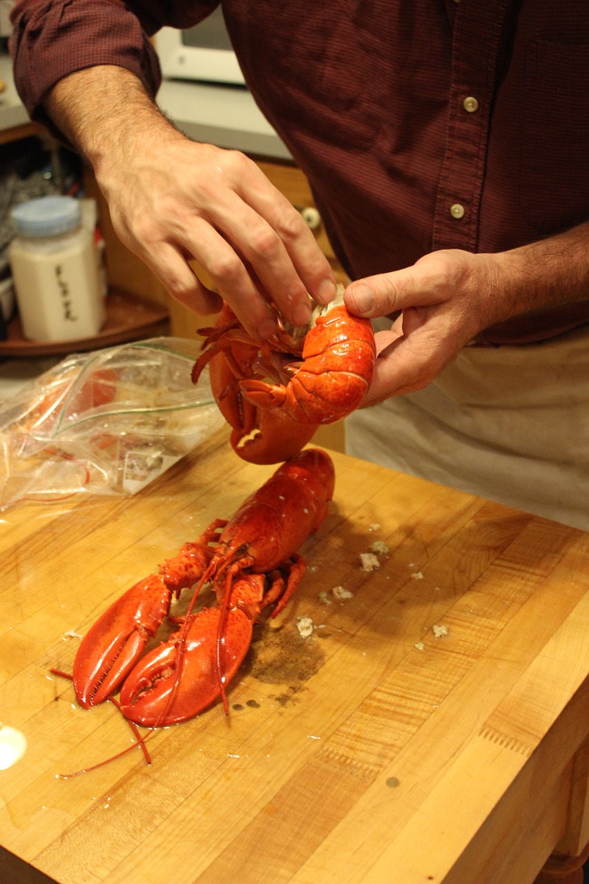 lobster cooking seafood free photo