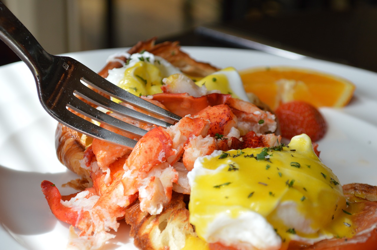 lobster brunch benedict free photo