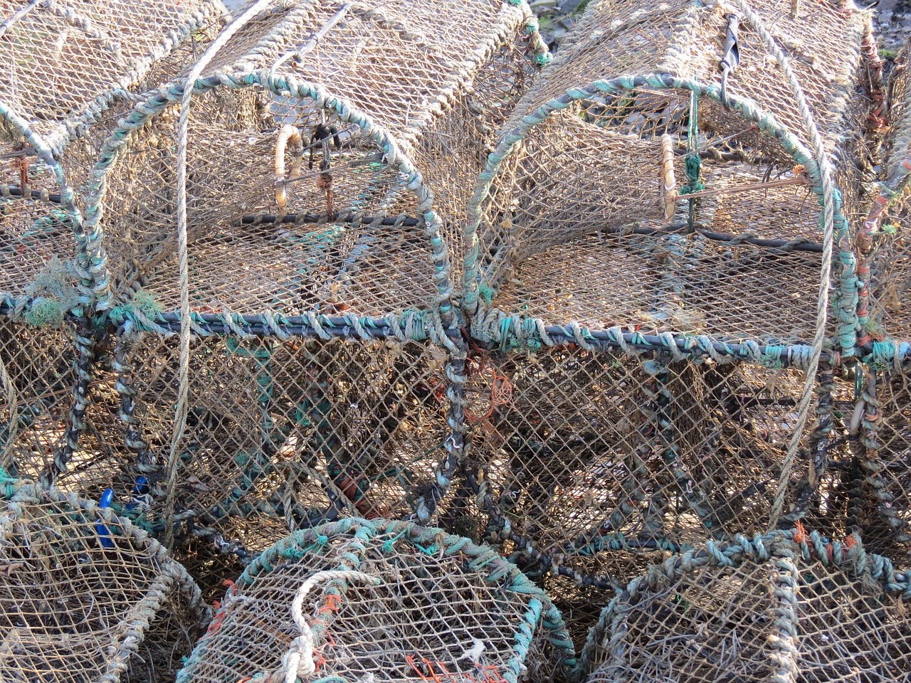 lobster basket trap free photo