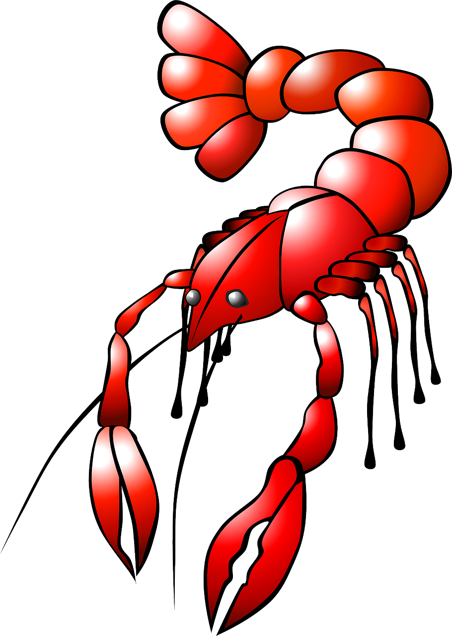 lobster crayfish animal free photo