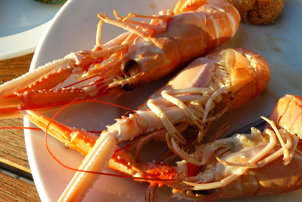 lobster nephrops delicious free photo