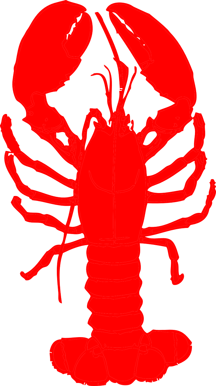 lobster shellfish seafood free photo