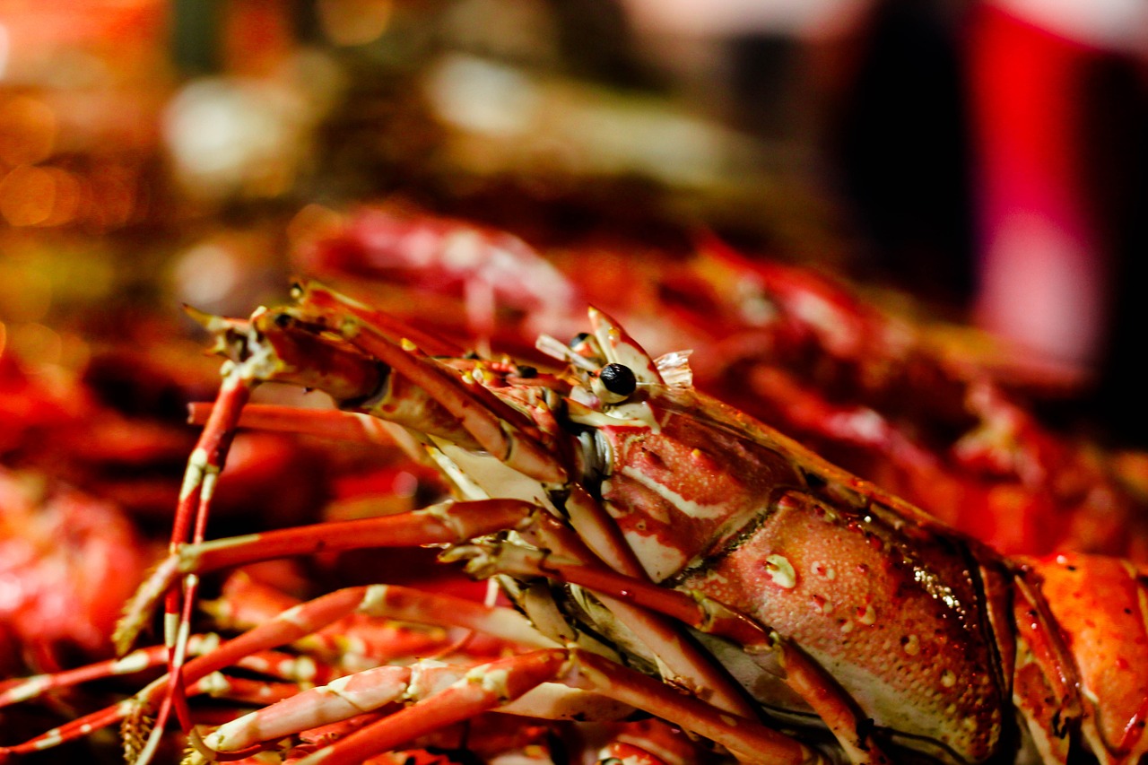 lobster street food cuisine free photo