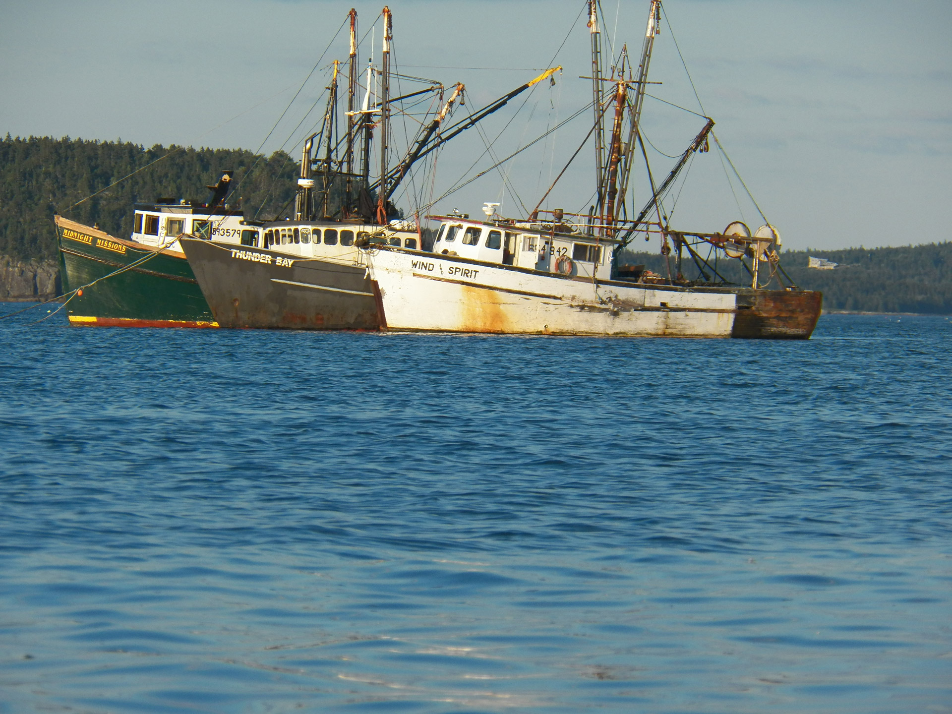 lobster lobsters lobster boat free photo