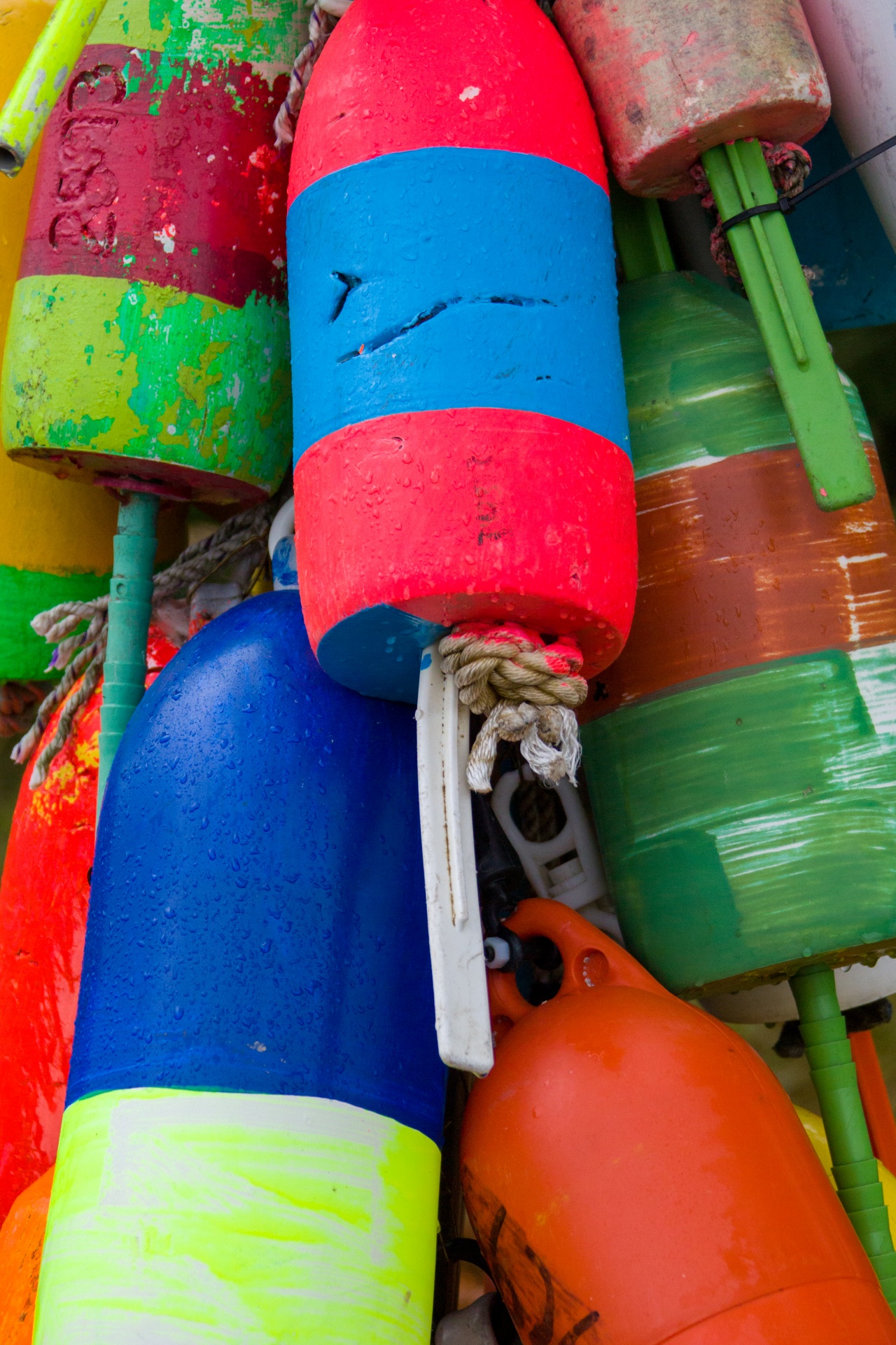 bright buoy buoys free photo