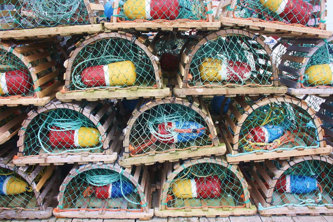 lobster cage lobster cage free photo