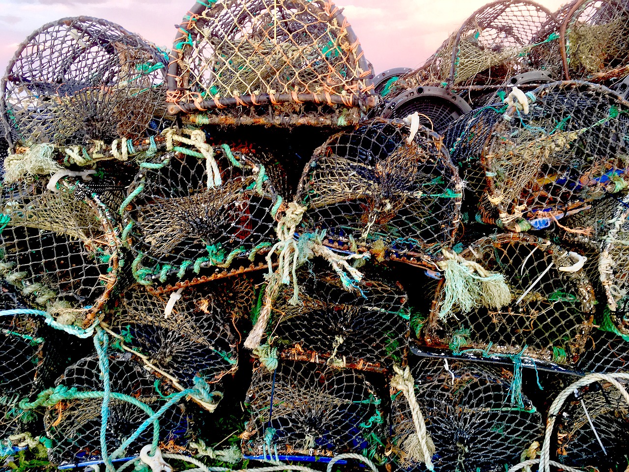 lobster pots  fishing  port free photo